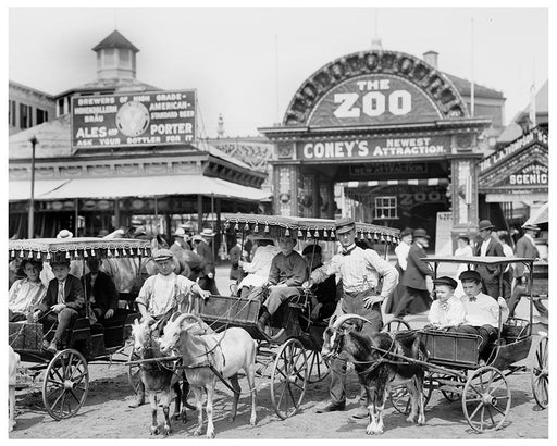 The Goats, Coney Island Brooklyn New York - 1904