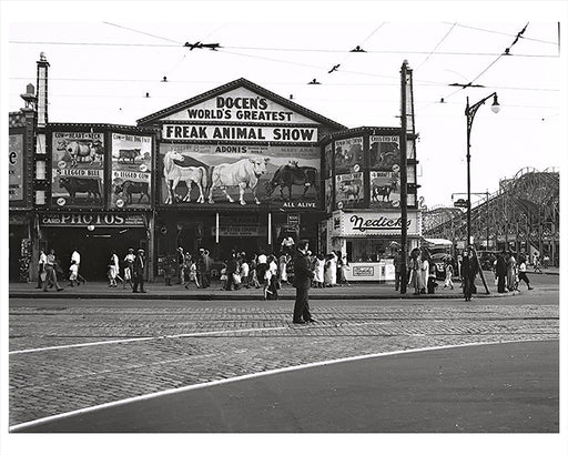 1932 Docen's Freak Animal Show Coney Island Brooklyn New York