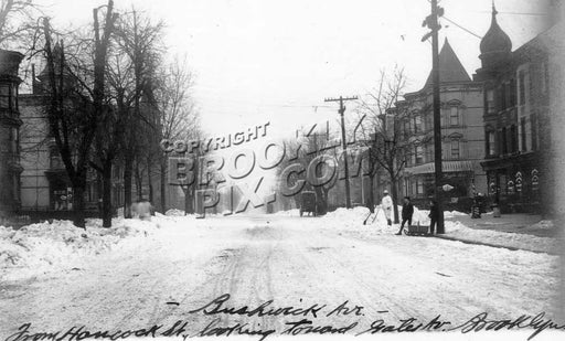 Bushwick Avenue 1906 Old Vintage Photos and Images