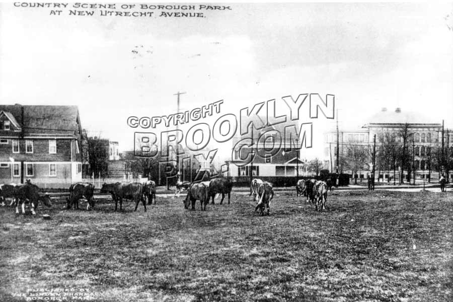 10th Avenue at 43rd Street, looking toward New Utrecht Avenue, also showing PS 131, 1912 Old Vintage Photos and Images