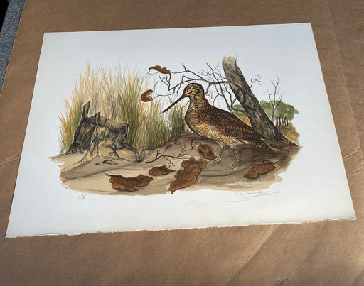 Vintage Audubon Lithograph JEROME TROLLIET 1973 Hand Signed Art Print Vintage
