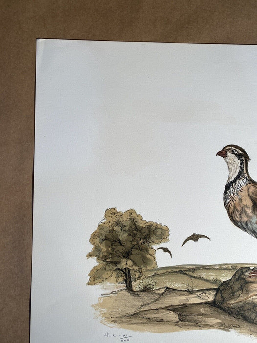 Vintage Audubon Lithograph JEROME TROLLIET 1973 Hand Signed LE Art Print Birds