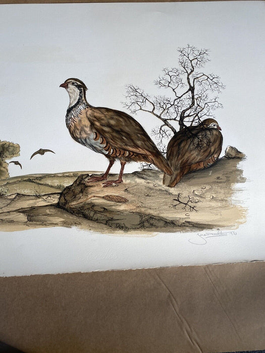 Vintage Audubon Lithograph JEROME TROLLIET 1973 Hand Signed LE Art Print Birds
