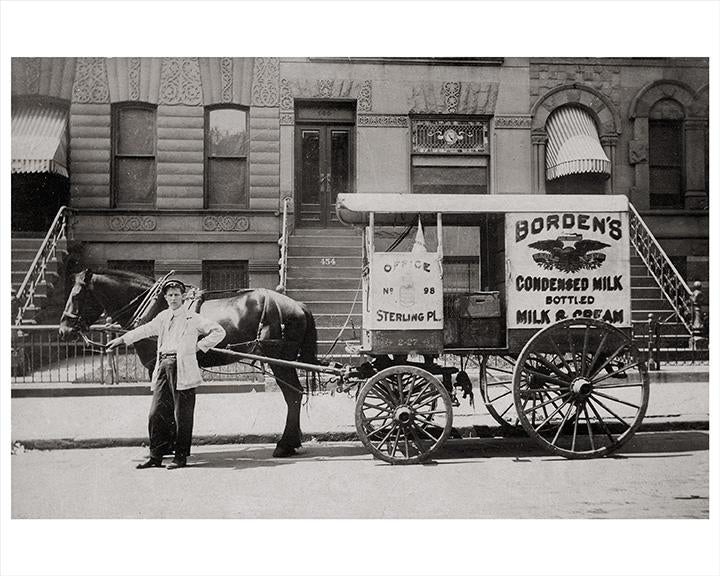 14th Street Park Slope Bordens Milk Wagon, Horse Drawn Cart Photos, Images and Photography