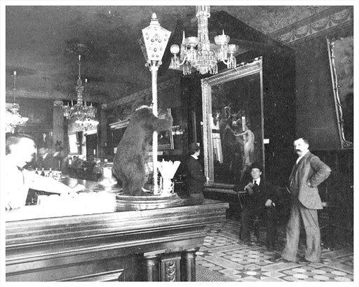 Hoffman House Bar, Broadway between 24th & 25th Street - 1890s