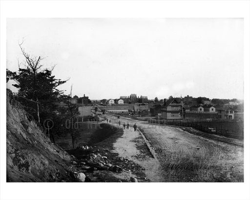 Albany Ave - Pig Town 1898 Old Vintage Photos and Images