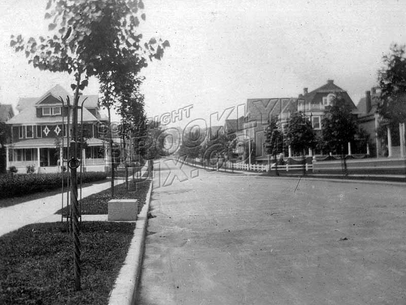 Barbey Street north toward Arlington Avenue, 1906 Old Vintage Photos and Images