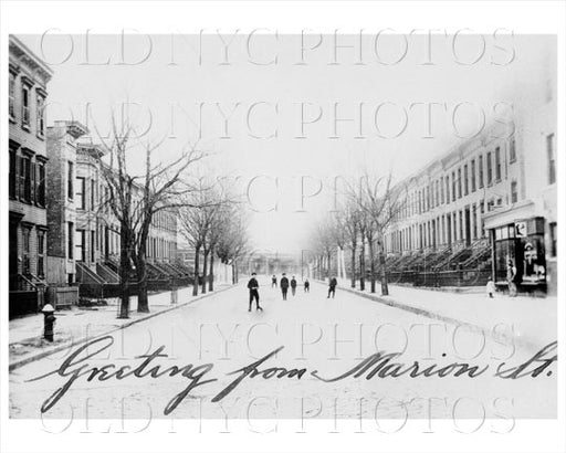 Bedford Stuyvesant Marion Street Old Vintage Photos and Images