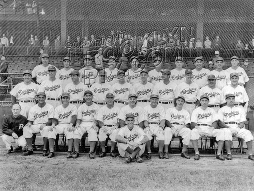 Brooklyn Dodgers 1941 National League Champions Old Vintage Photos and Images