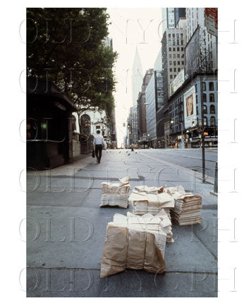 Bryant Park West 42nd Street Old Vintage Photos and Images