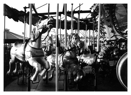 Carousel Horses 1960's Old Vintage Photos and Images
