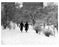 Central Park first snow fall mantle of white Manhattan NYC 1938 Old Vintage Photos and Images