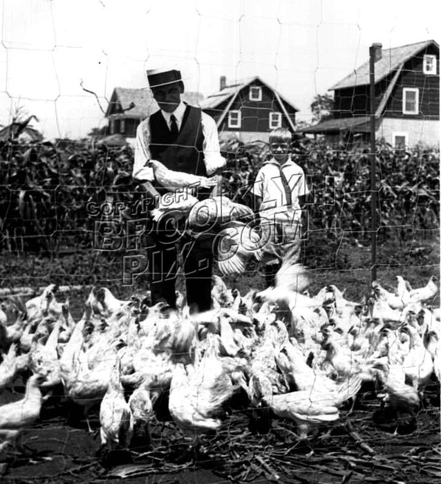 Chicken farmer, Canarsie, c.1940 Old Vintage Photos and Images