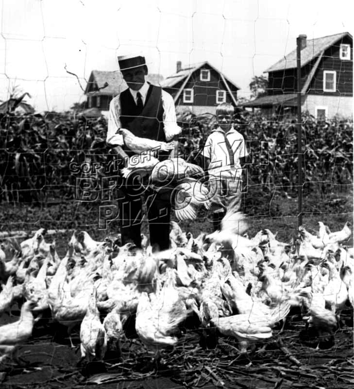 Chicken farmer, Canarsie, c.1940 Old Vintage Photos and Images