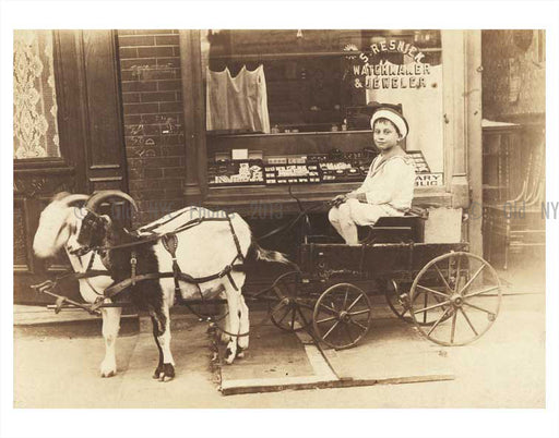 Child with pet goats Old Vintage Photos and Images