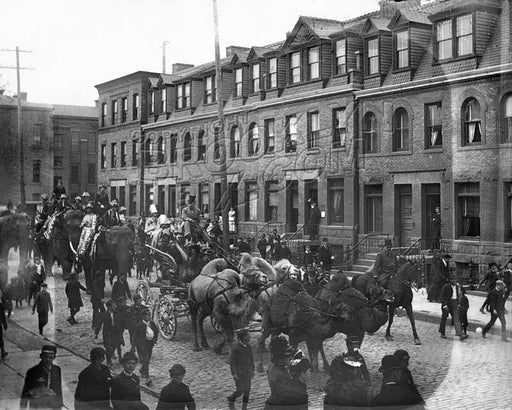 Circus procession through Fort Greene, c.1880s Old Vintage Photos and Images