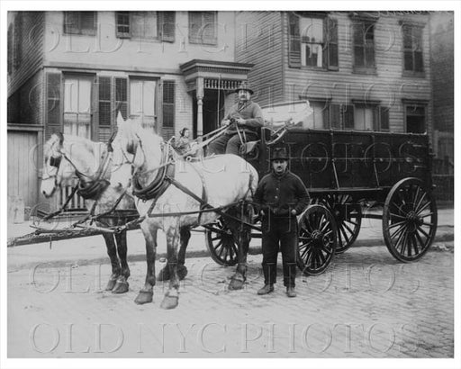 Cobble Hill Horse Cart 1910 Old Vintage Photos and Images