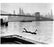 diving in head first with the Brooklyn Bridge and Manhattan Skyline in the background Old Vintage Photos and Images