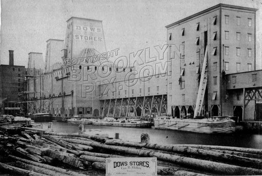 Dow Stores and dock, foot of Pacific Street, 1882 Old Vintage Photos and Images