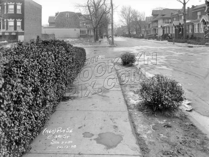 East 3rd Street looking north to Caton Avenue, 1928 Old Vintage Photos and Images