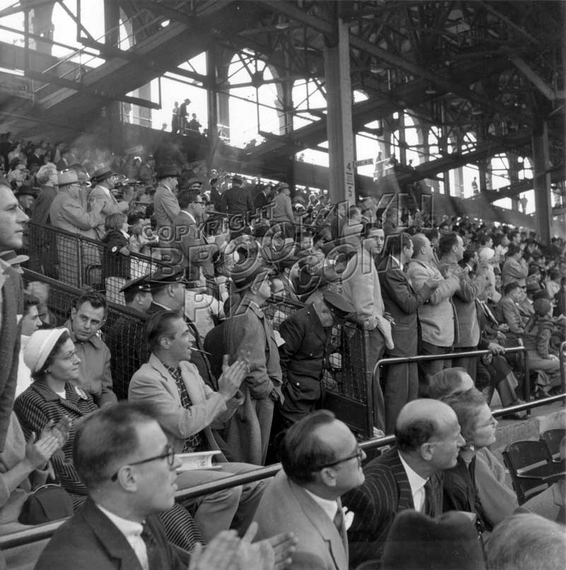 Fans at Ebbets Field, 1956 Flatbush Brooklyn Old Vintage Photos and Images