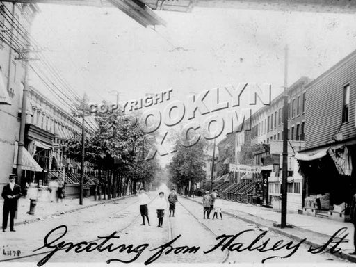 Halsey Street from Broadway, 1908 Old Vintage Photos and Images