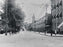 Halsey Street looking south from Wilson Avenue, 1908 Old Vintage Photos and Images