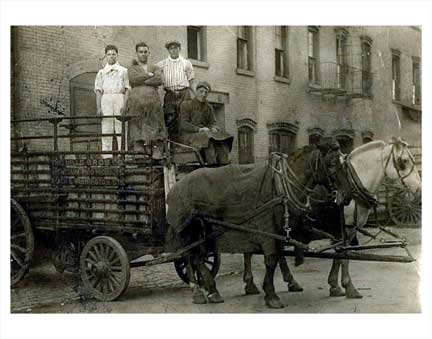 Hills Bros Horse Cart Brooklyn NY Old Vintage Photos and Images