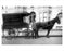 Horse Drawn Wagon  - delivery of wine & liqour Edward Rieke Co. HQ on Bedford & Rutledge Street in Willimsburg Brooklyn NY Old Vintage Photos and Images