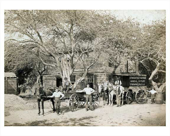 Horse & Wagon on a Farmingdale Farm -  Long Island NY 1900 Old Vintage Photos and Images