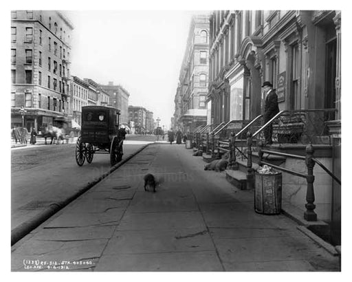 Lexington Avenue & East 82nd  Street 1912 - Upper East Side Manhattan NYC A7 Old Vintage Photos and Images