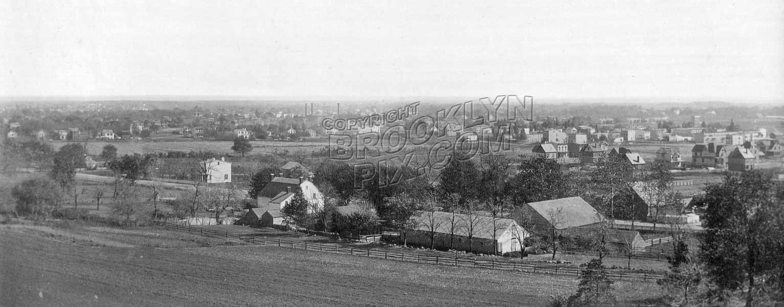 Looking southeast from behind Schenck Homestead toward Jamaica Avenue and East New York, 1887 Old Vintage Photos and Images