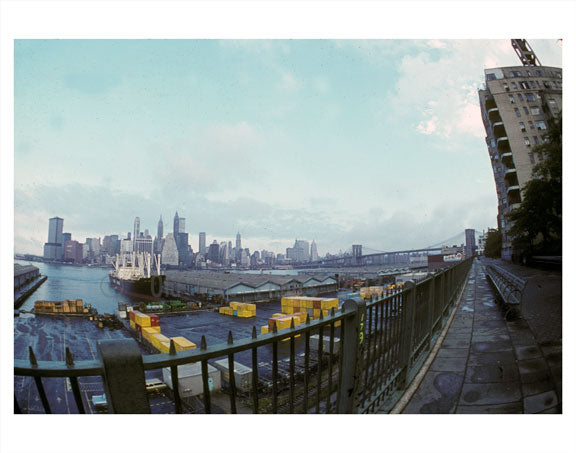 Manhattan Skyline from Brooklyn Rooftop Old Vintage Photos and Images