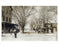 Mattituck - Love Lane - Long Island - 1906 Old Vintage Photos and Images