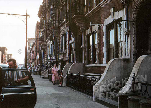 McKibbin Street (tailor at number 108), 1951 Old Vintage Photos and Images