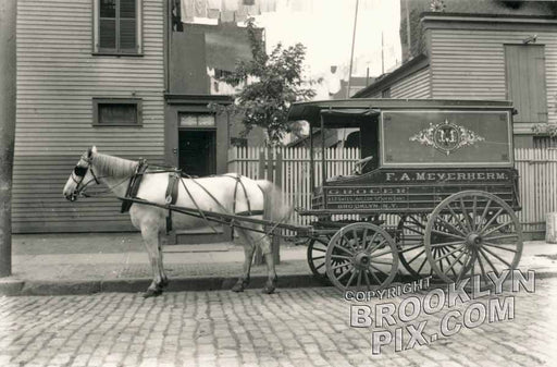 Meyerherm's grocery wagon, 1833 Gates Avenue at Stuyvesant Avenue, 1910