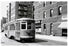 Nostrand Ave Line Old Vintage Photos and Images
