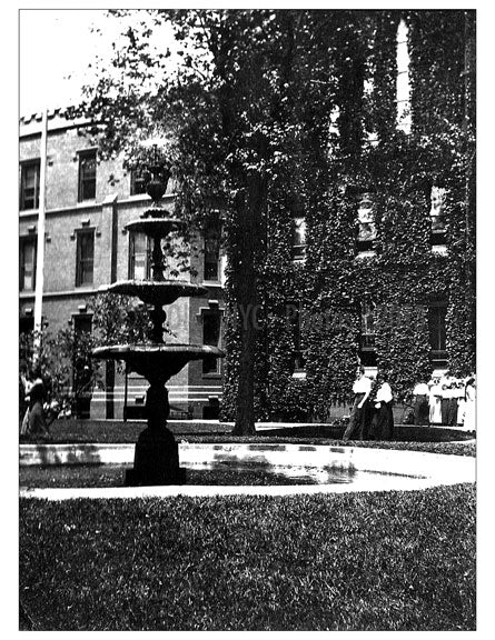 Packer Gardens 1913 Old Vintage Photos and Images