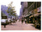 Park Avenue 2 Old Vintage Photos and Images