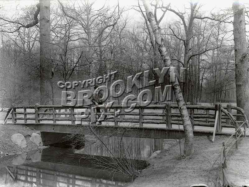 Rustic foot bridge, 1907 Old Vintage Photos and Images