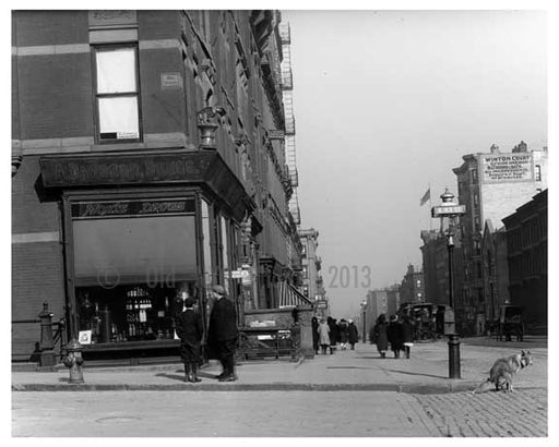 Somebody forgot to curb their dog on the corner of Lexington Avenue & 83rd Street  1911 - Upper East Side, Manhattan - NYC II Old Vintage Photos and Images