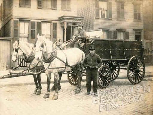 Two-horse team, Cobble Hill, 1910 Old Vintage Photos and Images