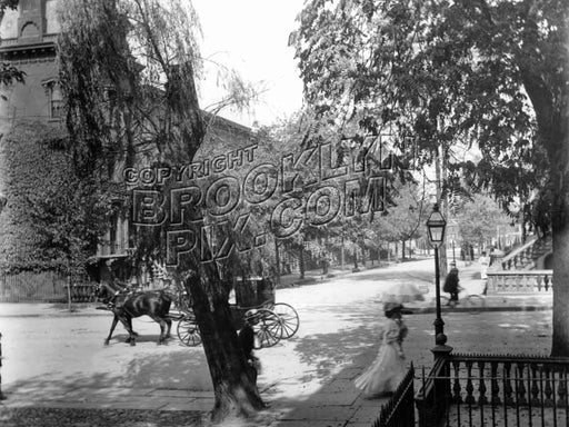 Typical Ft. Greene scene during the Nineteenth Century. Can you identify the specific location? Old Vintage Photos and Images