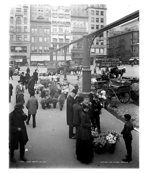 Union Square 1905 Old Vintage Photos and Images