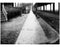 West sidewalk of Gravesend Ave looking north from Avenue T -  1922 Old Vintage Photos and Images