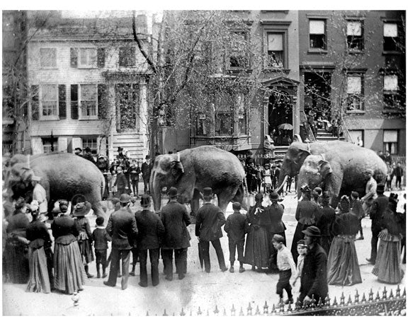 When the circus comes to town - Brooklyn Elephant Walk - 1890 Old Vintage Photos and Images