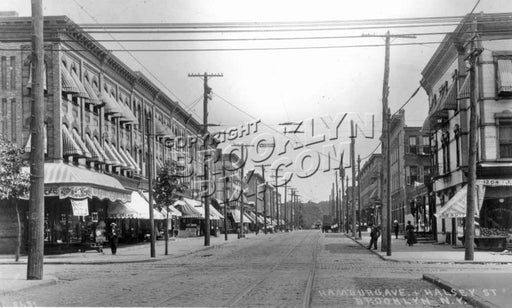 Wilson Avenue looking east to Halsey Street, c.1908 Old Vintage Photos and Images