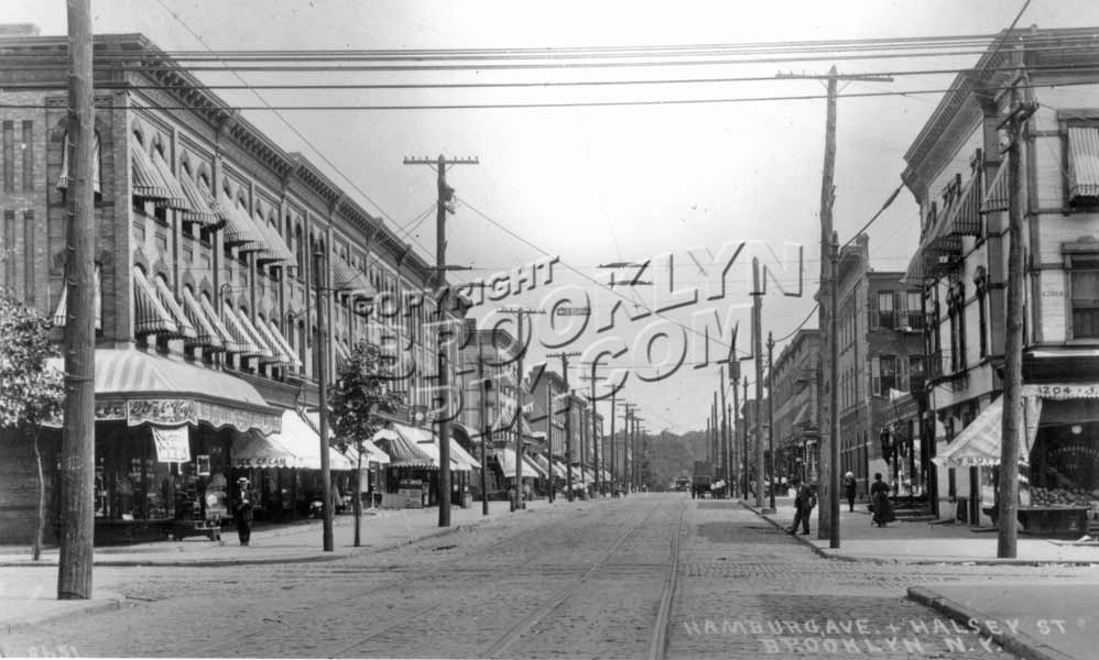 Wilson Avenue looking east to Halsey Street, c.1908 Old Vintage Photos and Images