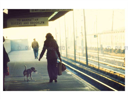 Woman & dog commute 1970's Old Vintage Photos and Images