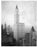 Woolworth Building 15 Barclay St Manhattan NYC Old Vintage Photos and Images
